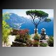 A Tree in Sorrento